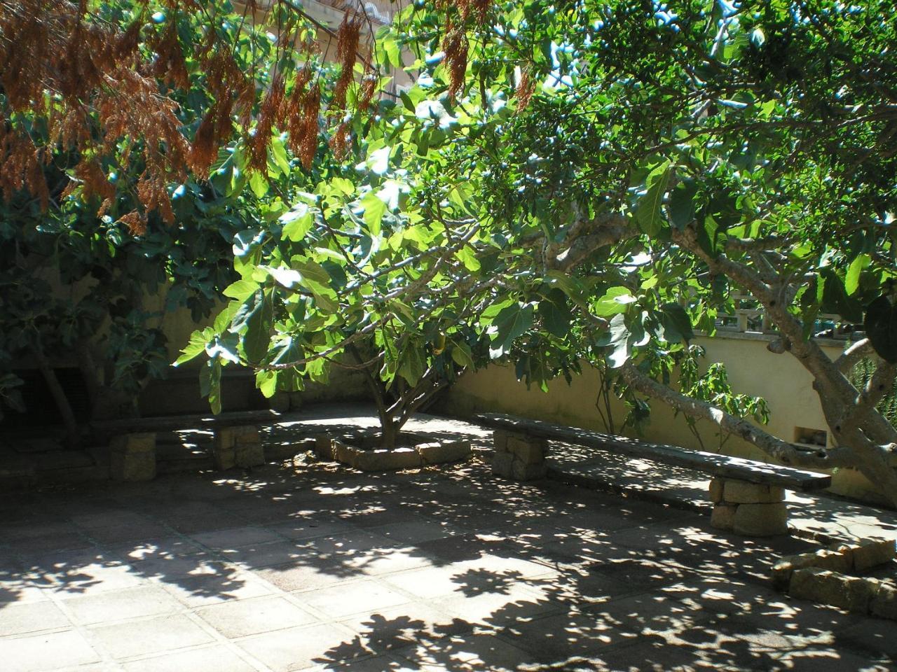 Shabby Chic Melograno 2