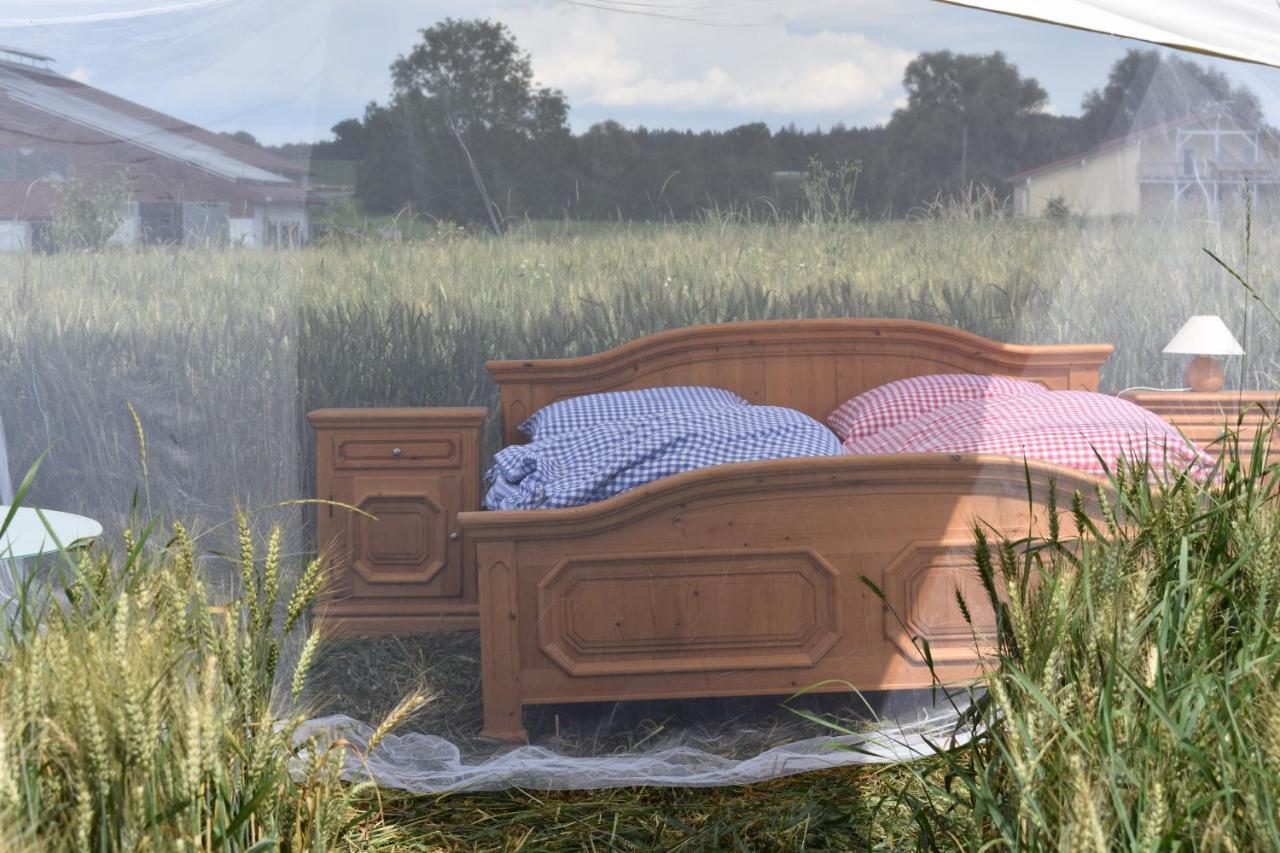 Open Air, Bett Im Kornfeld (Adults Only) 2