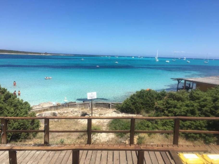 Villa di Design Con Il Tetto Verde