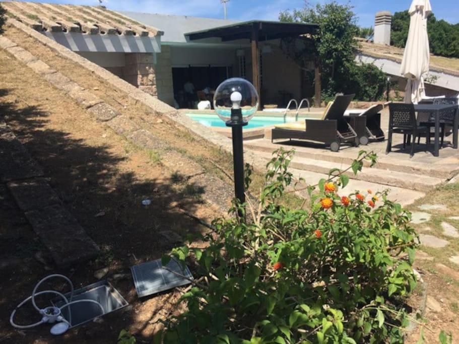 Villa di Design Con Il Tetto Verde 1