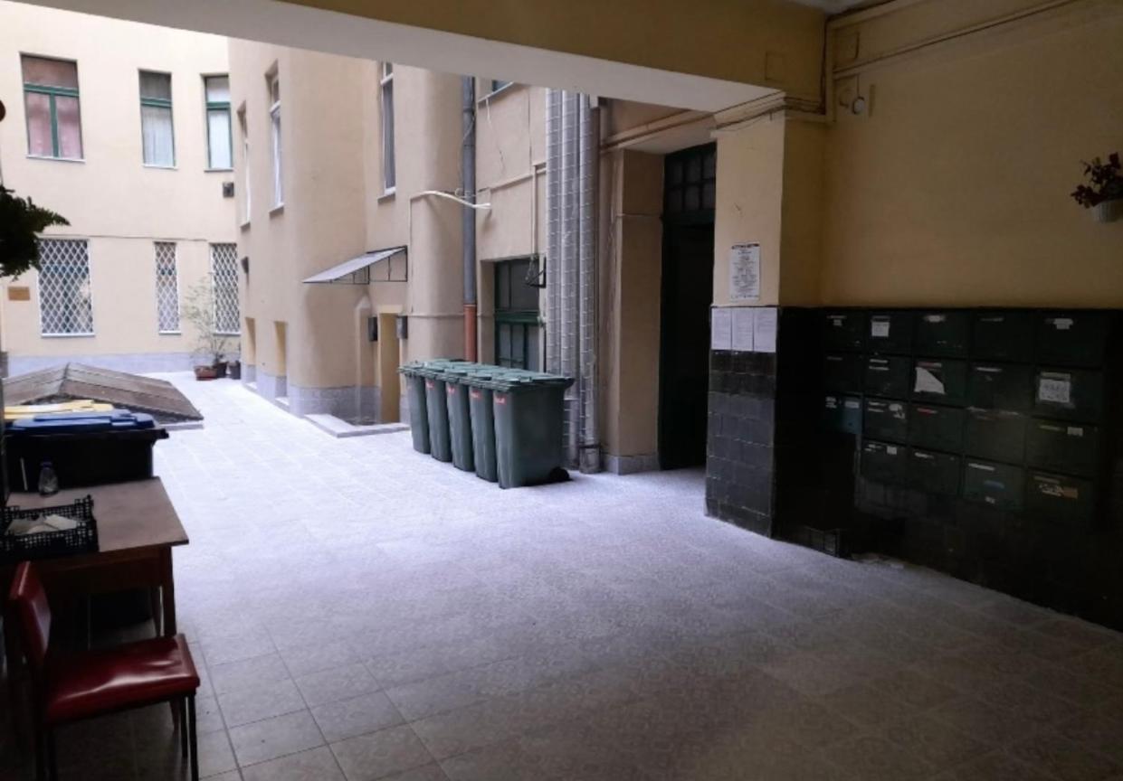 Cherry Blossom Designer Apartment in the Center with Free Parking