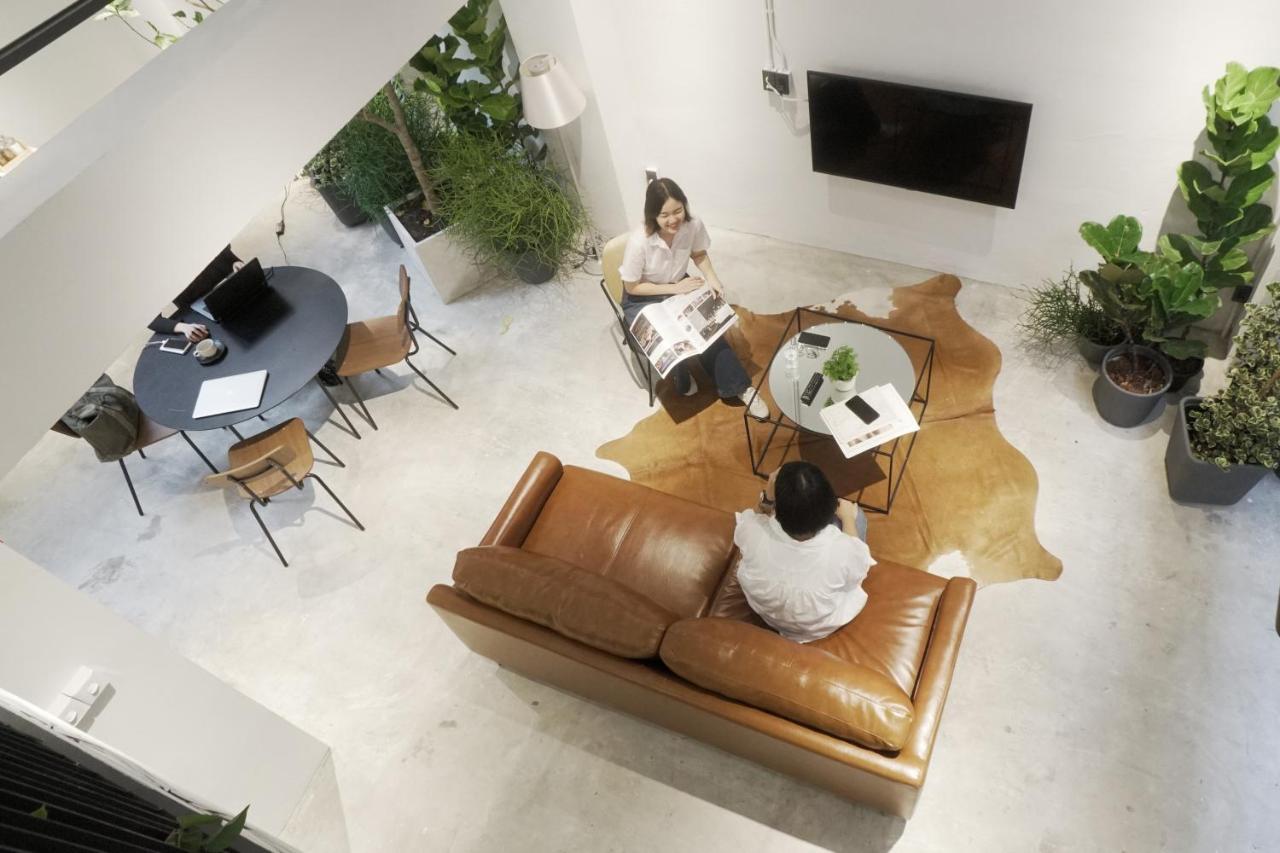 Chocolate Box Mint (SHA PLUS+)