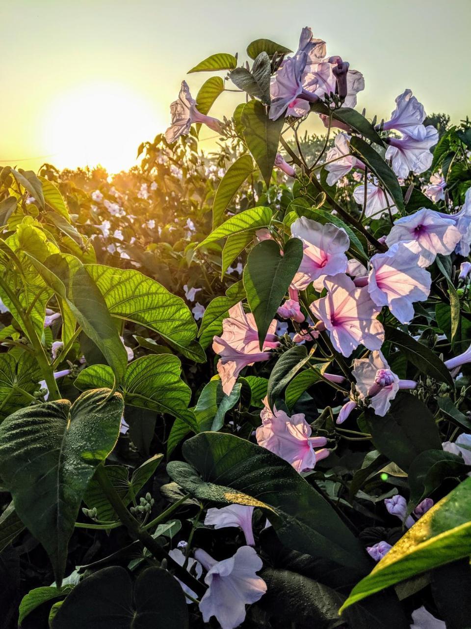 Ohana Retreat Bali