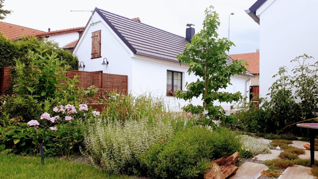 Onefourfour Apartment