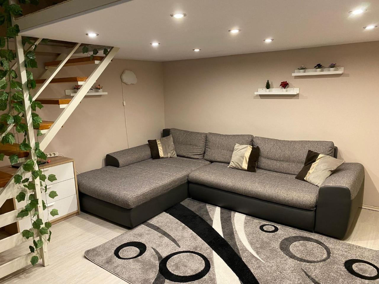 Apartment in Downtown Budapest