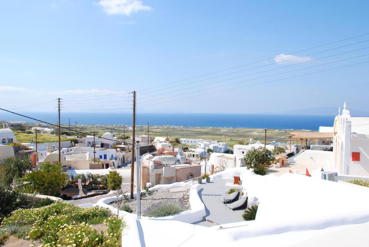 White Grape Suites