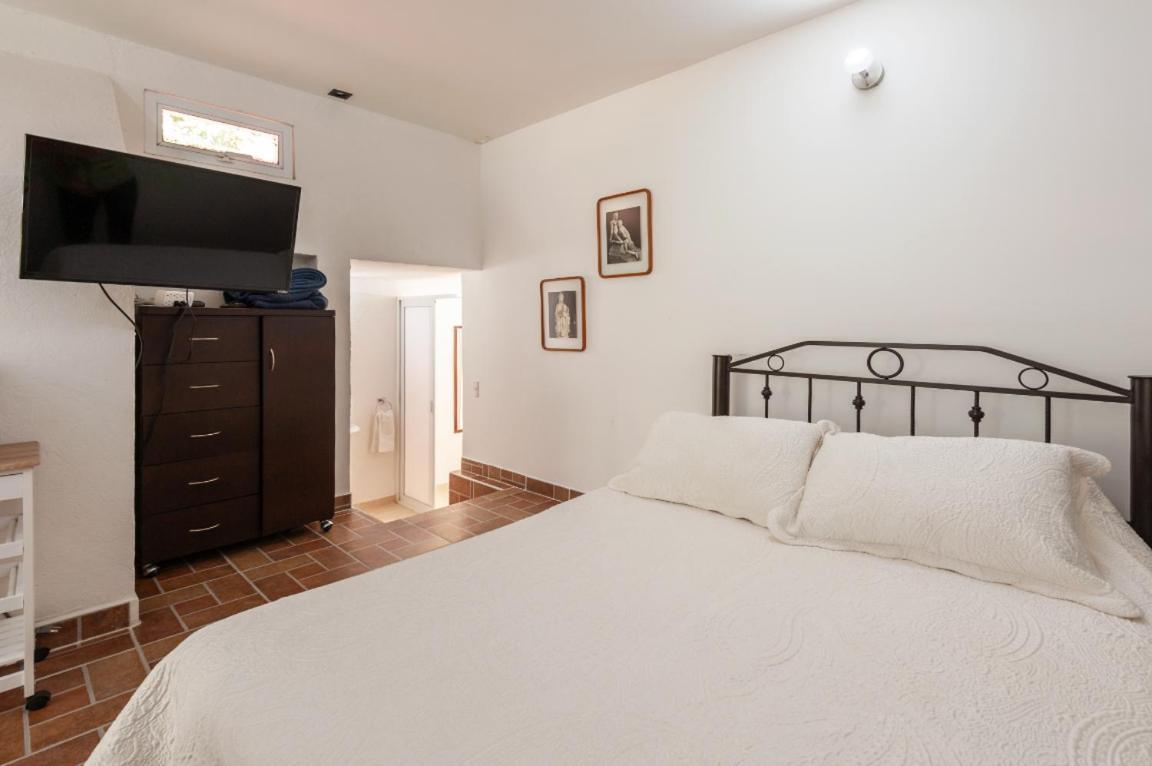 Suite 1-A Monasterio Garden House Welcome To San Angel (Adults Only)
