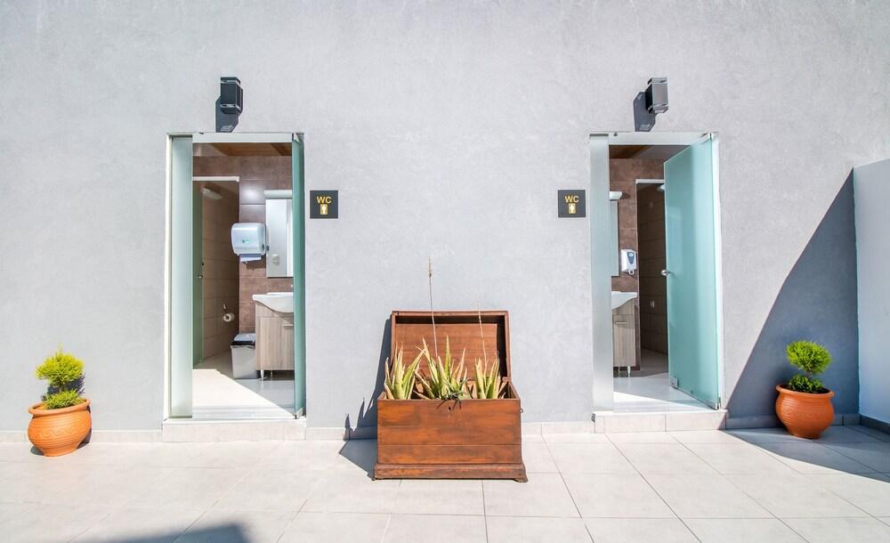 Essential Summer (Adults only) 2