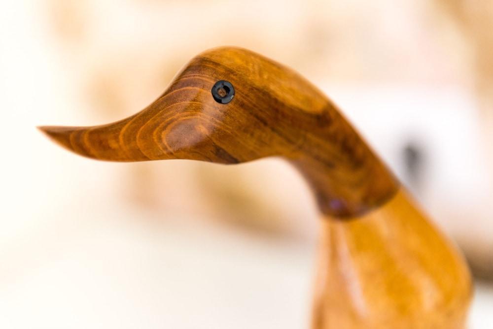 Historic Downtown Apartments & Rooms 1