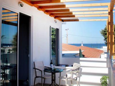 Bivalvia Beach Plus 1