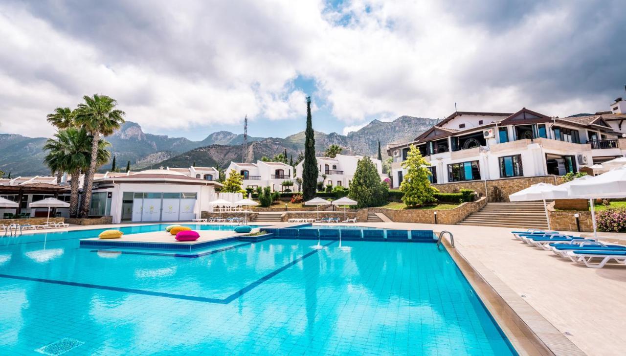 The Olive Tree Hotel 1