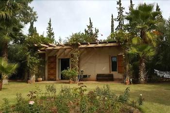 Maisonette Palmeraie Khotata