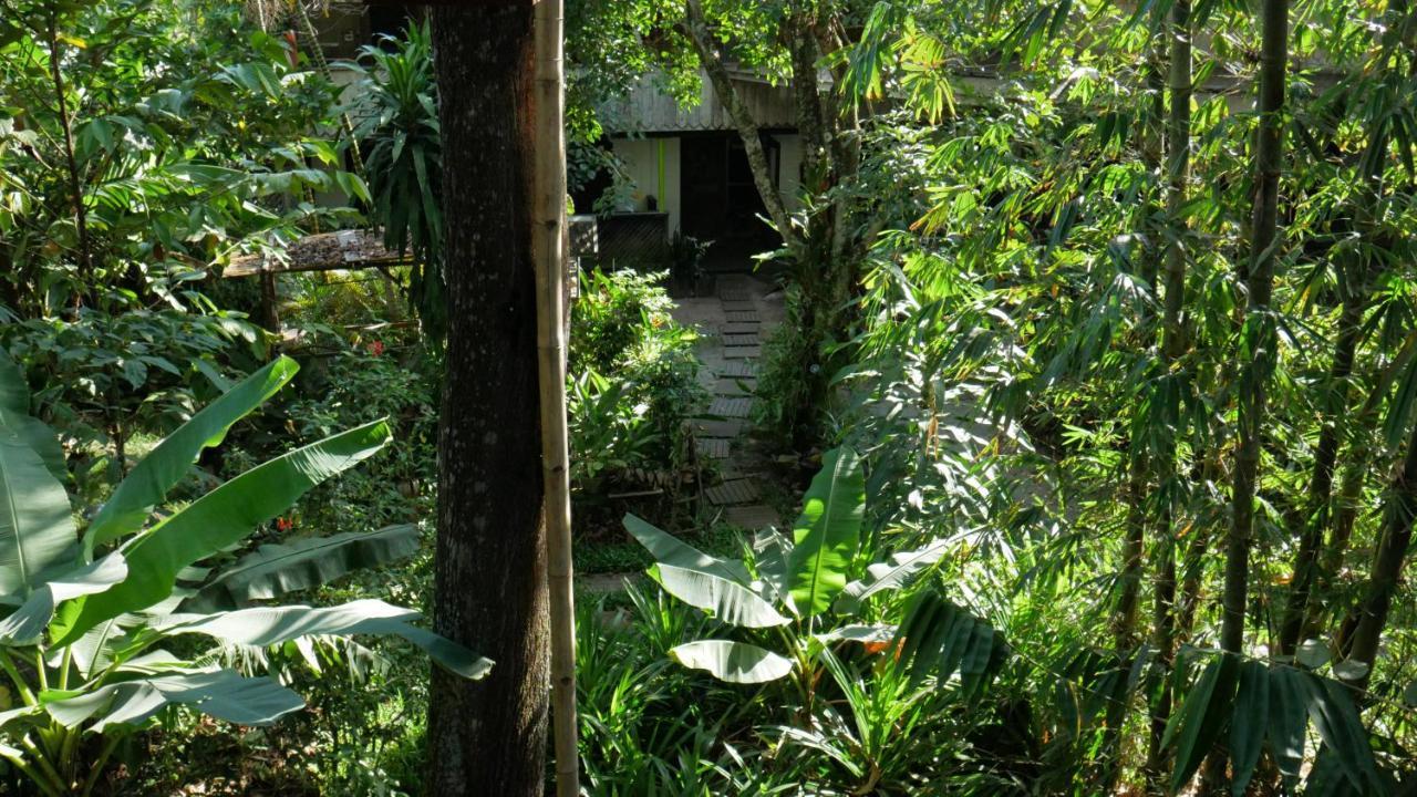 Bukit Raya Guesthouse 1