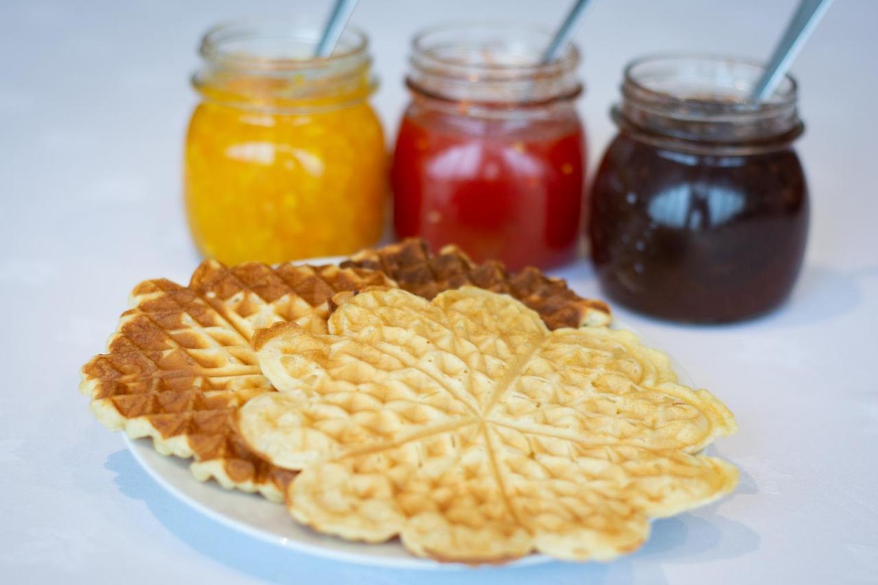 Glacier World Hoffell Guesthouse 1