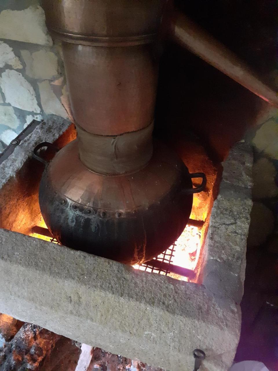 Aromas Dos Salgueiros 2