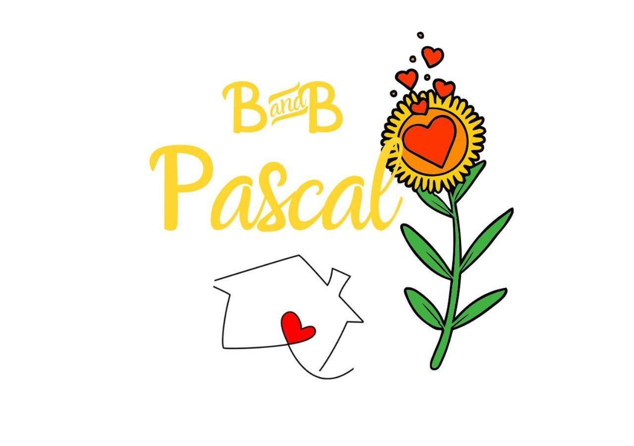 B&B Pascal 2