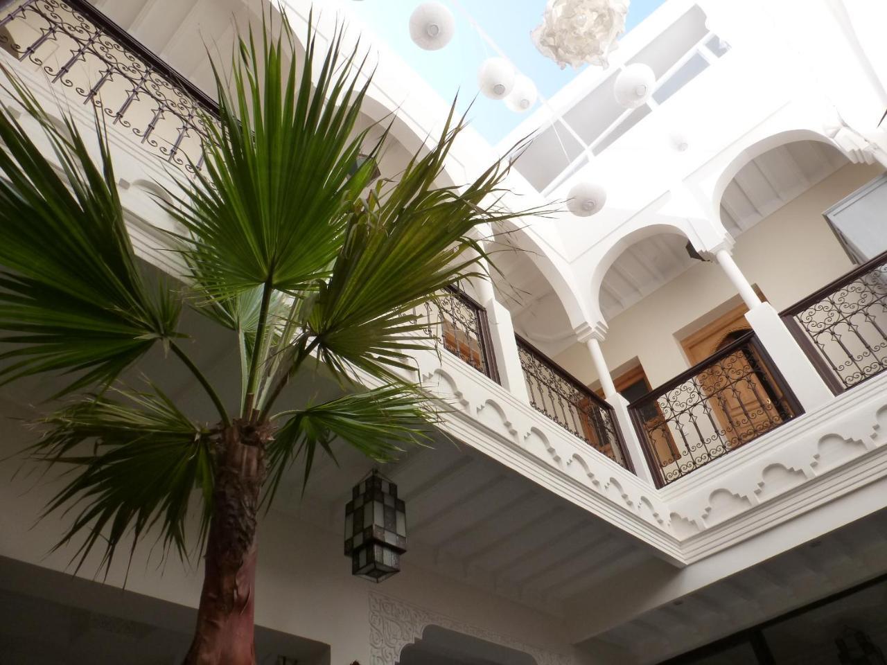 Riad Safina 2
