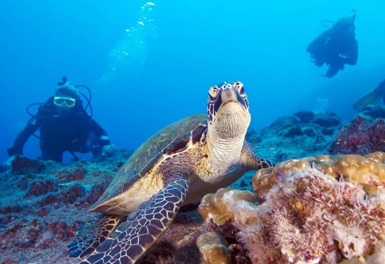 Royal Cottage Private Villa 1