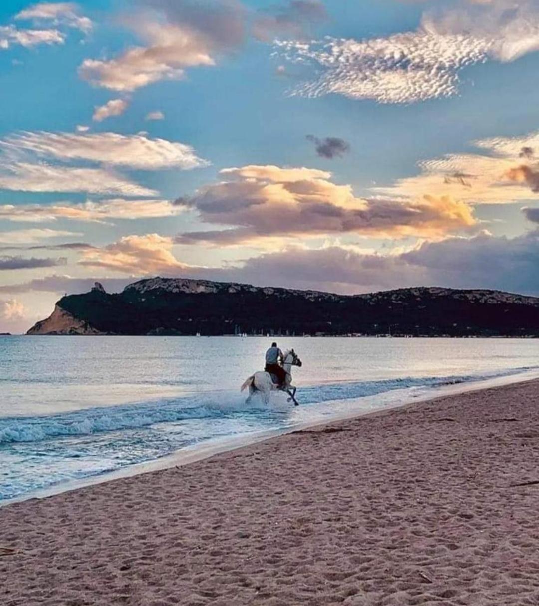 Trilocale Margine Rosso 2