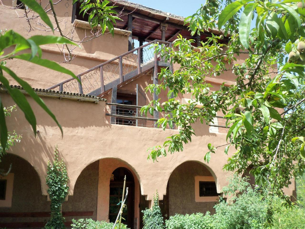 Safraniere du M' Goun