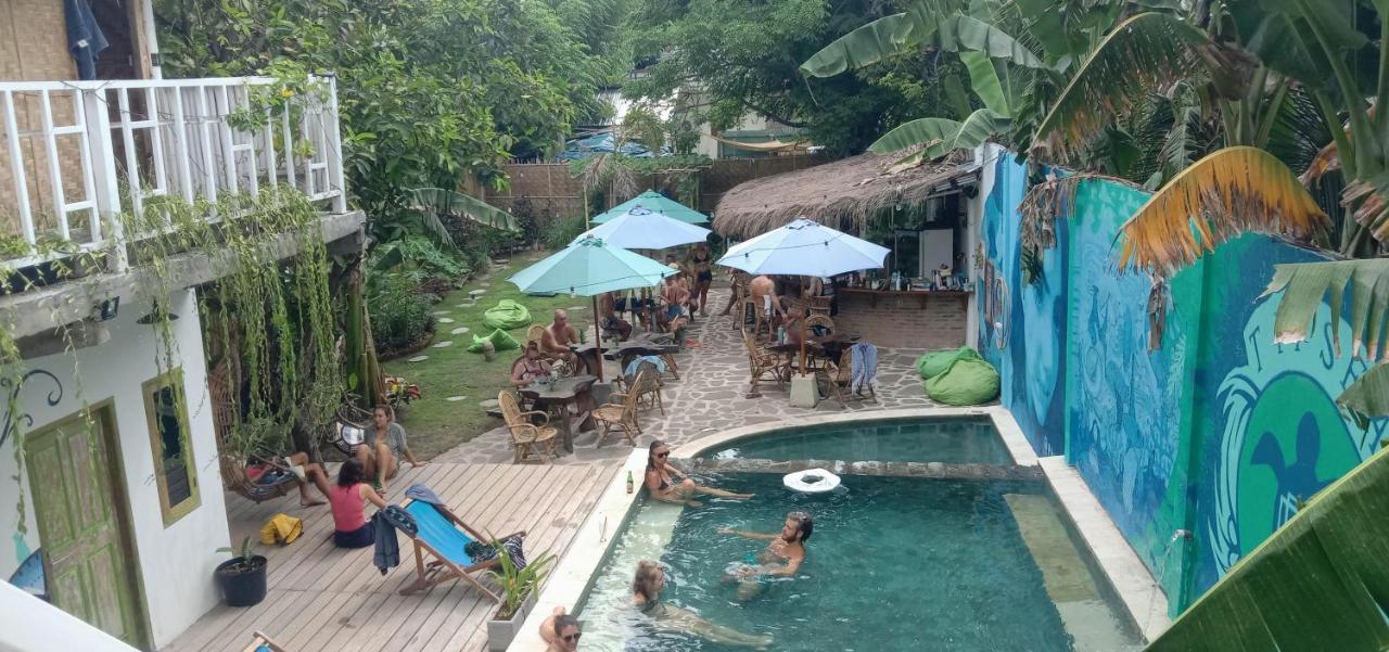 Tipsea Turtle Gili Air 1