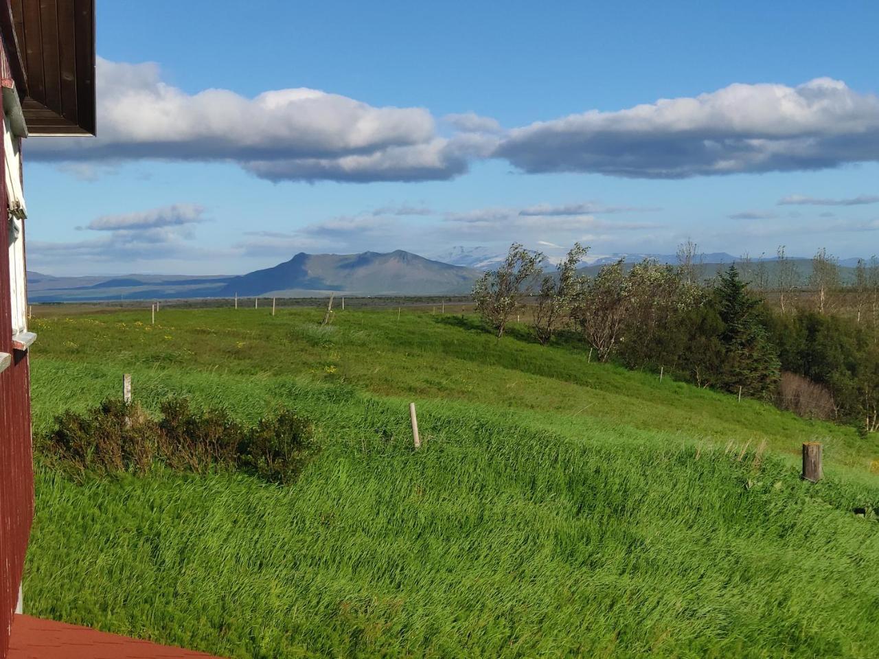 Guest House Svetlana 1