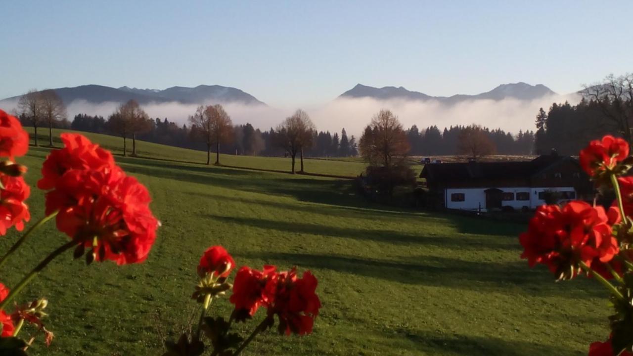 Ferienwohnung Elisabeth 2