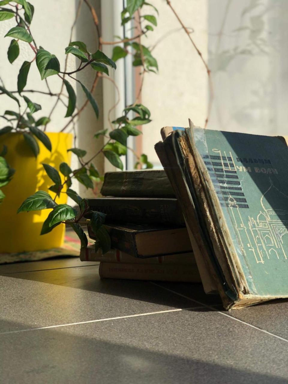 Natalex Microlofts 1