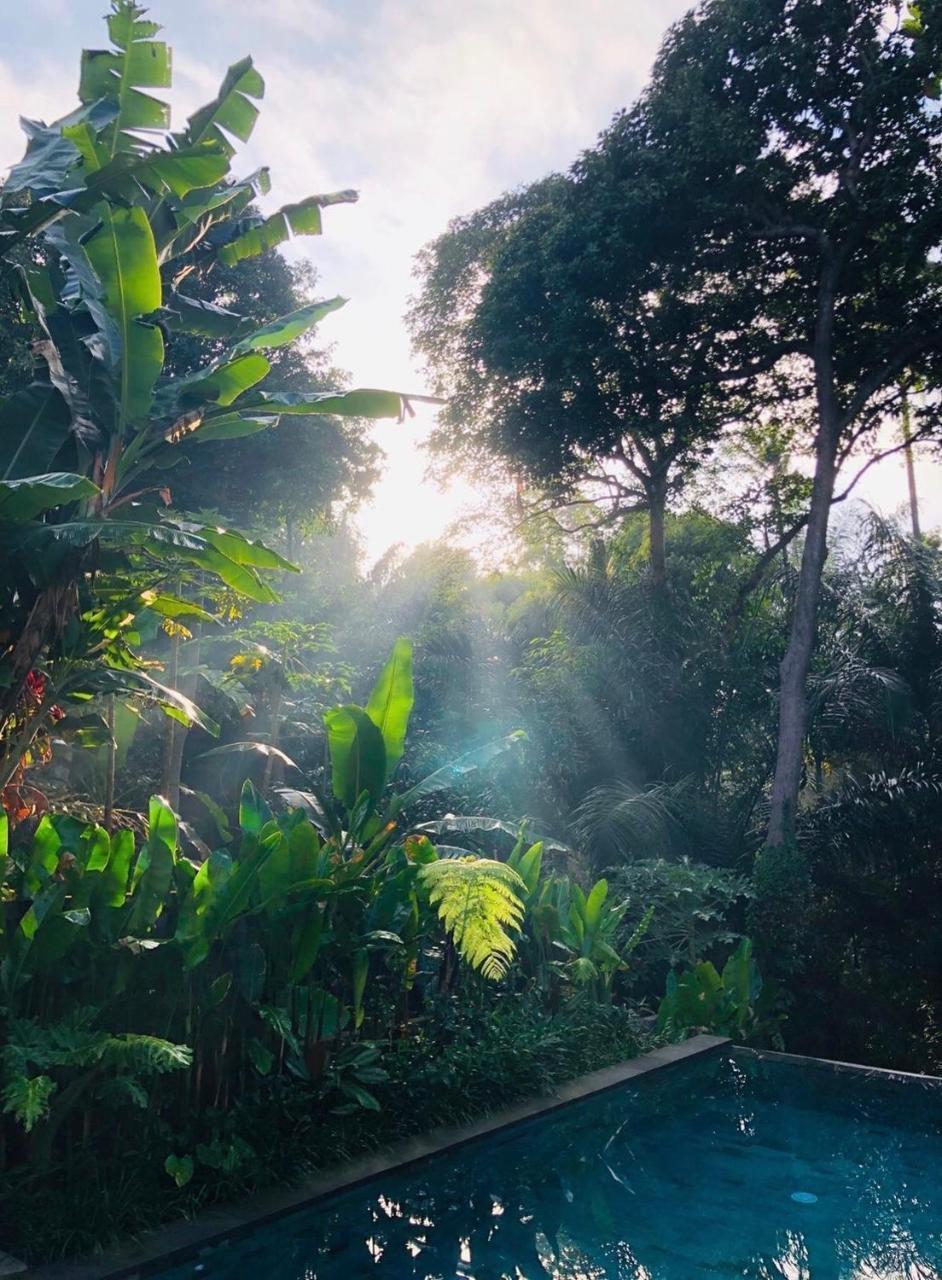 Aji Lodge Bungalow (Adults Only) 1