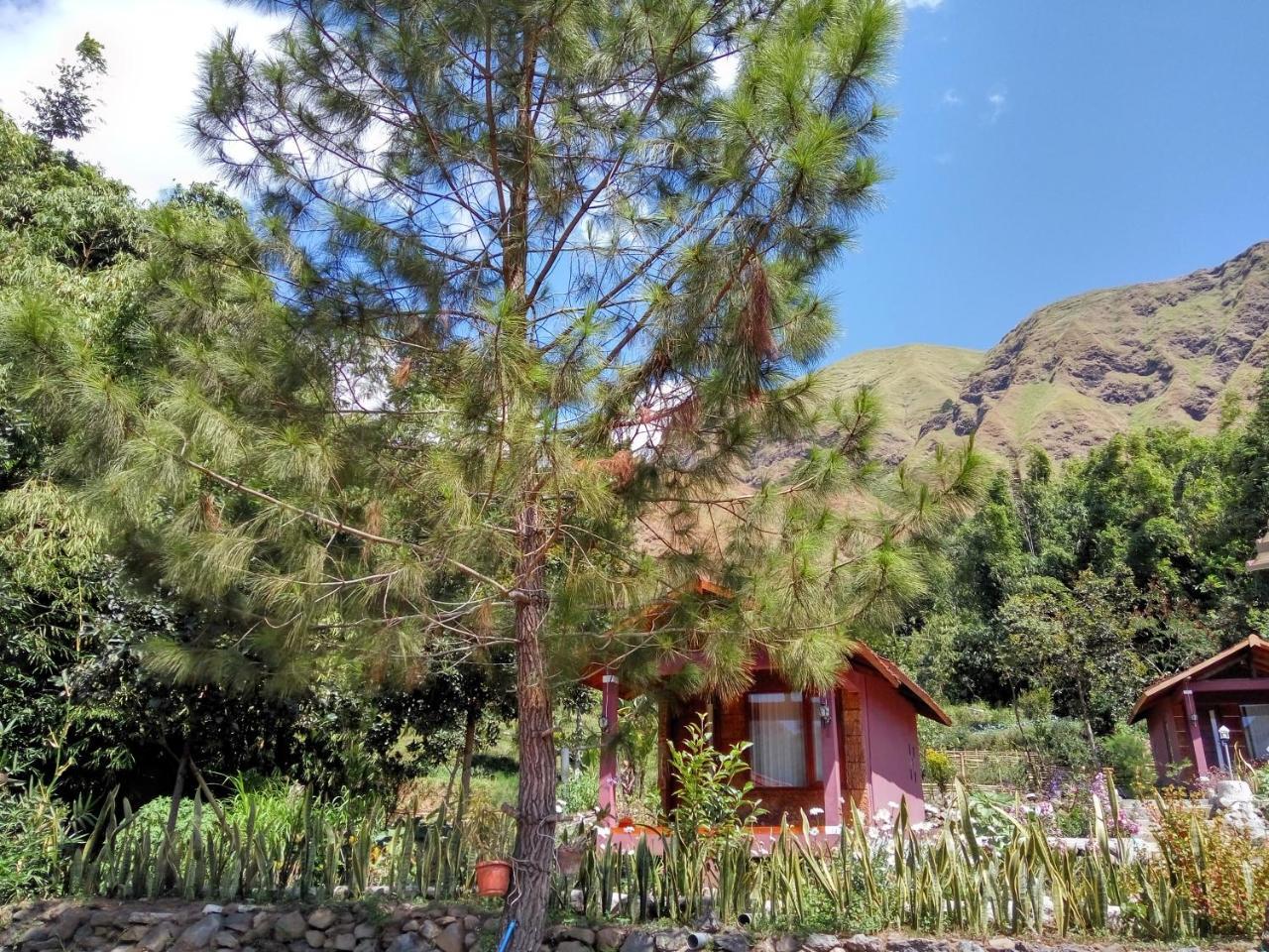 Sembalun Kita Cottage