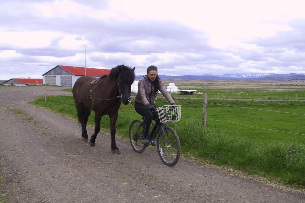 Cabin 3 at Lundar Farm 2