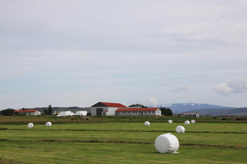 Cabin 3 at Lundar Farm 1