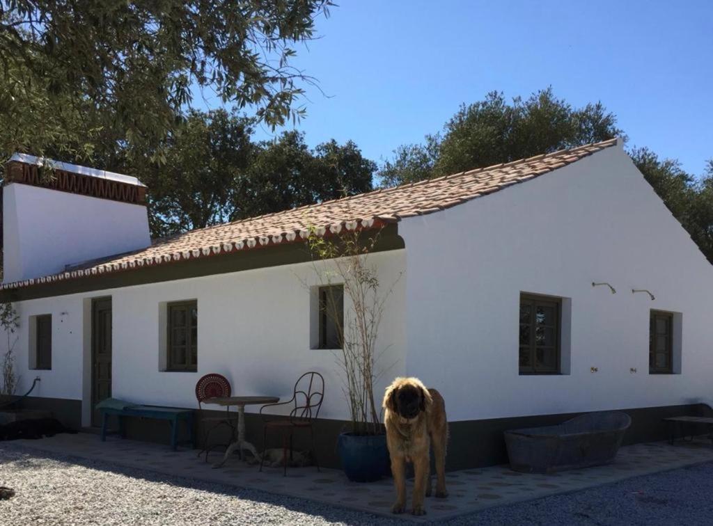 Herdade Da Saudade 1