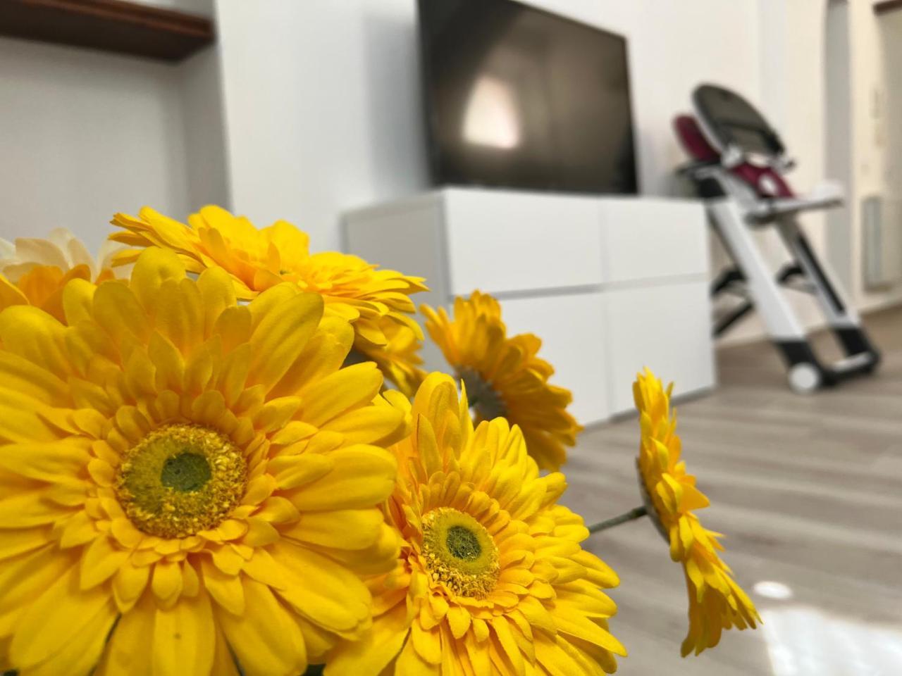 La Casa di Ale Nel Centro Storico di Cagliari 1