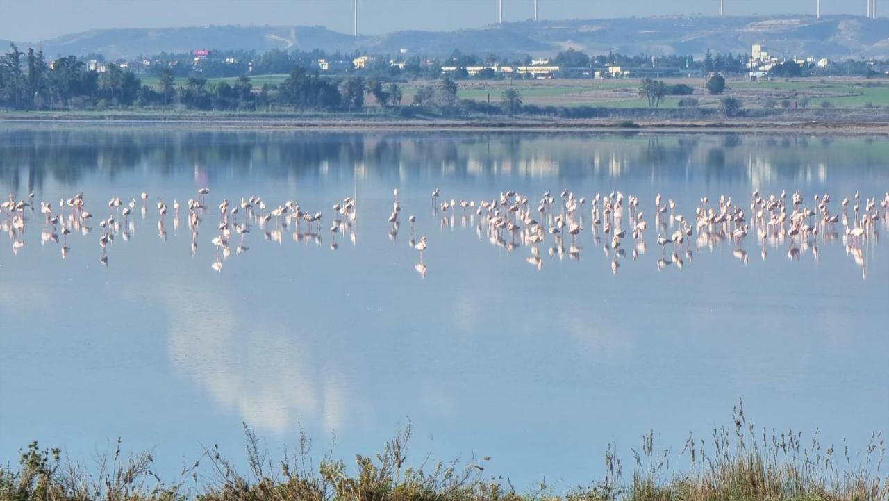 Cozy Beach Apt / 100 Mbit+ Netflix / Near Airport 2