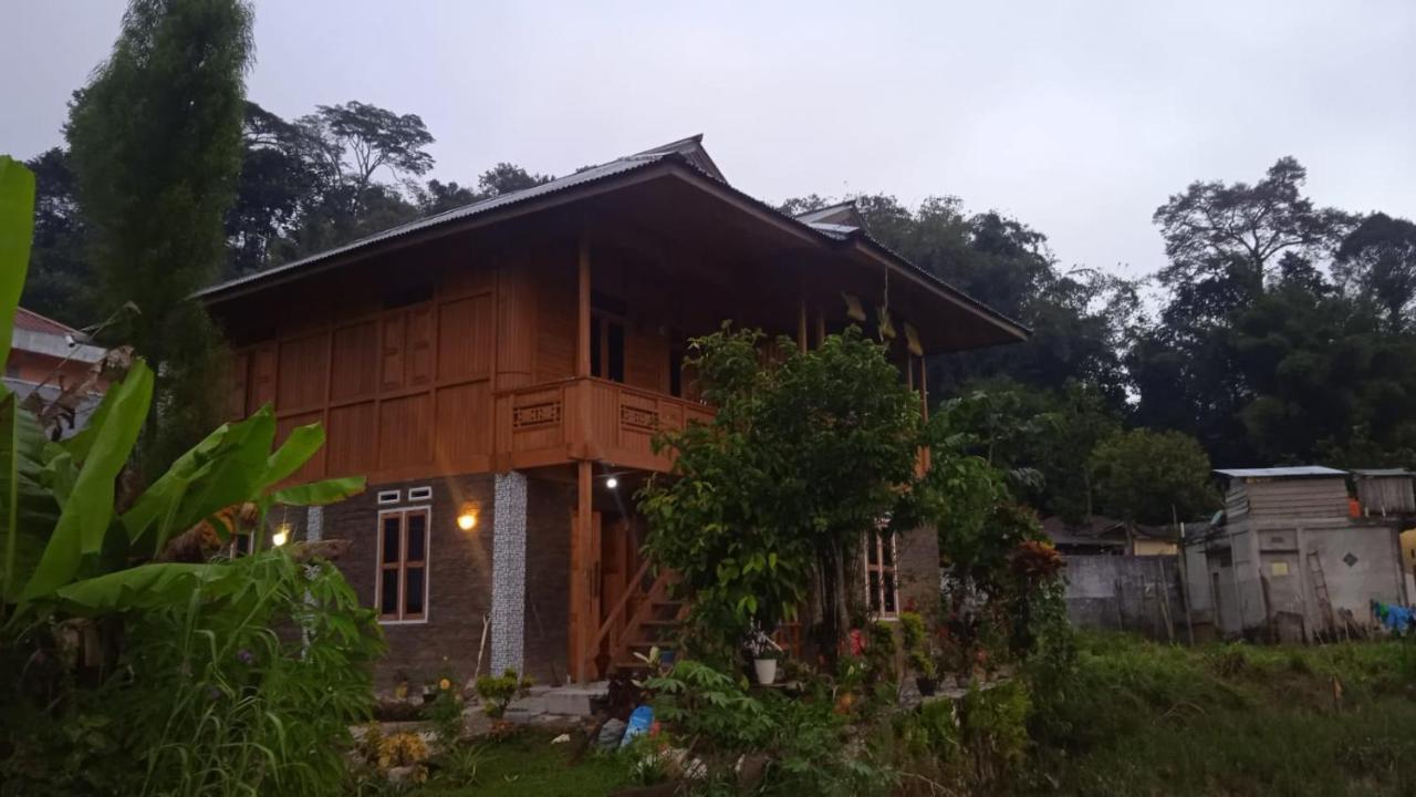 The Singki Home Family 2