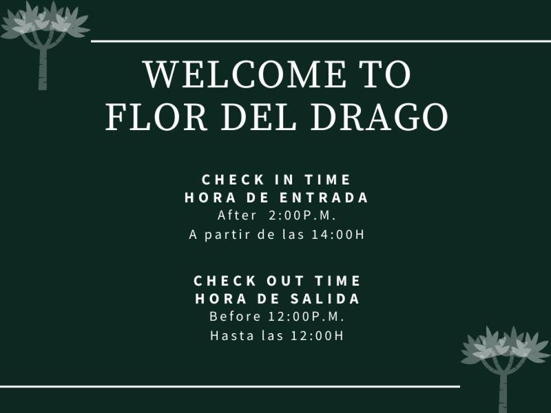 Flor Del Drago 1
