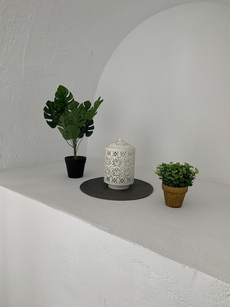 Pals Studios Lindos 2