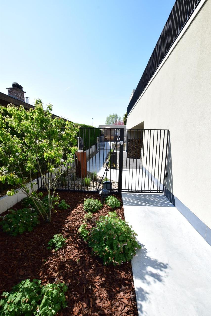 Atelier 24 (Adults Only) 2