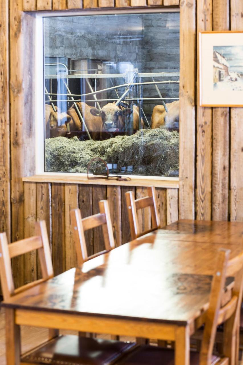 Farmhotel Efstidalur 2