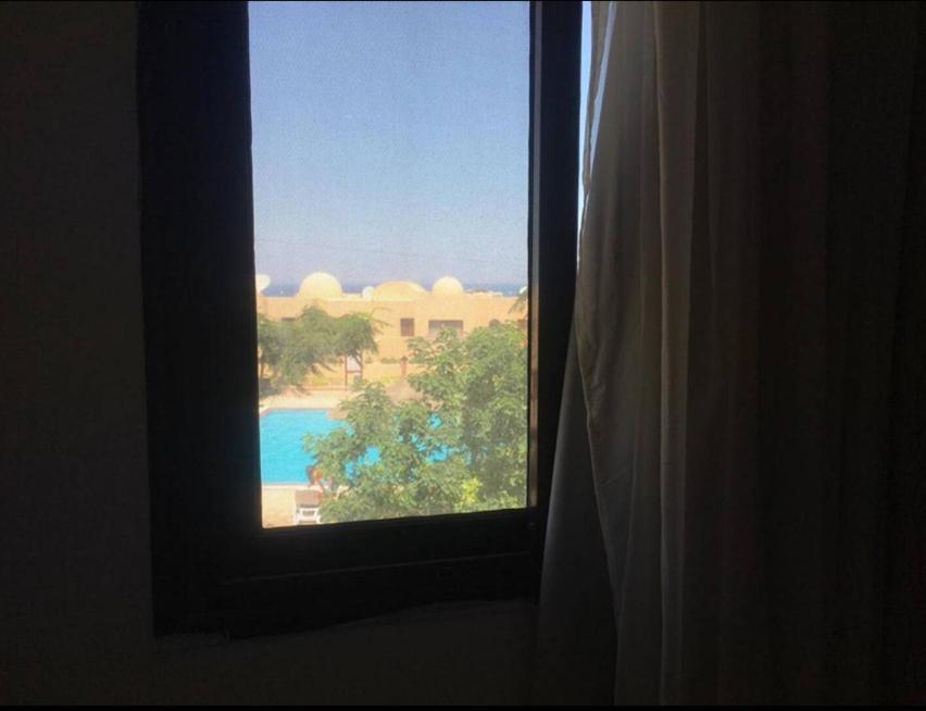 Pool View One Bedroom - B203 2