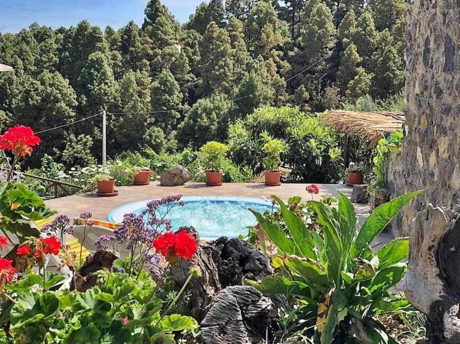 Finca Los Tamarillos