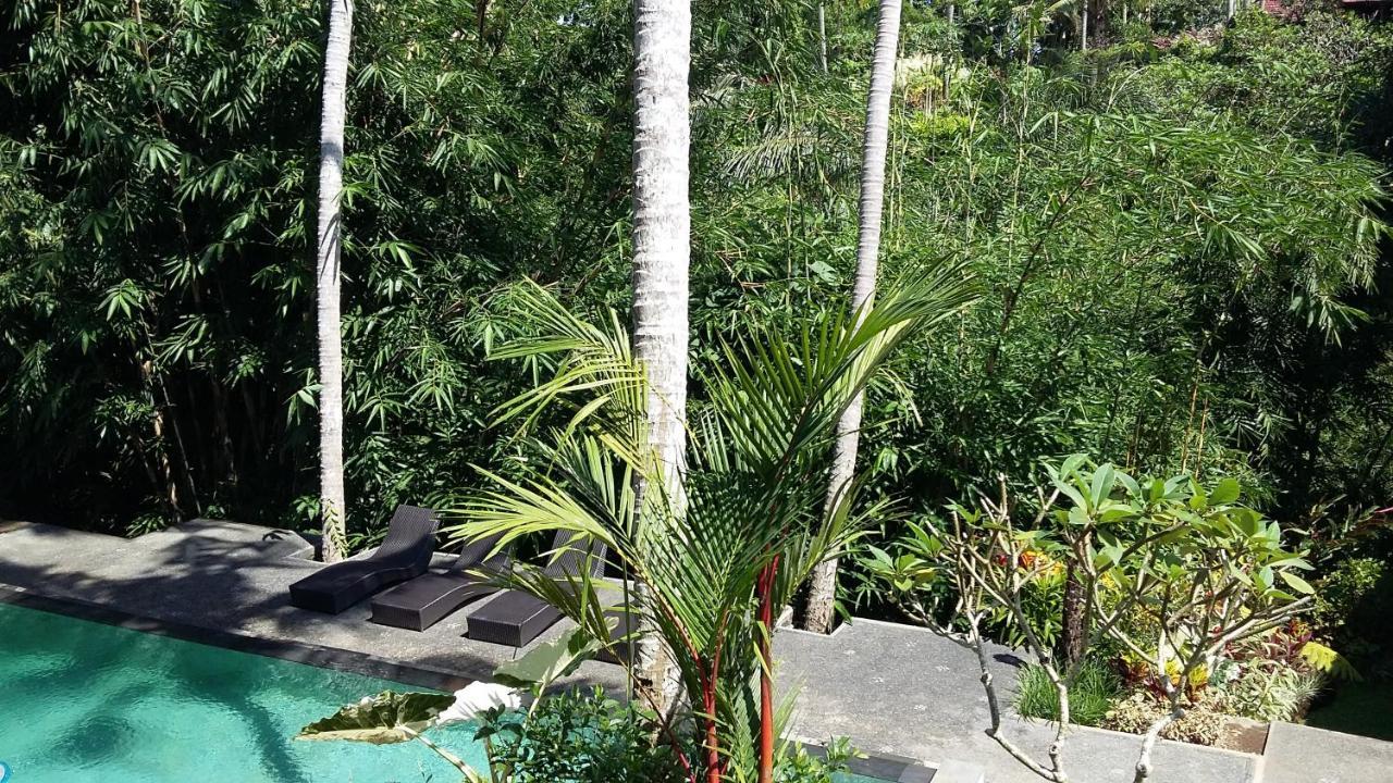 The Bali Shanti (Adults Only) 1