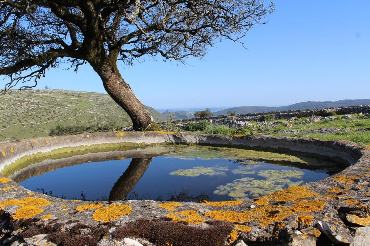 Rito Hall Da Serra 1