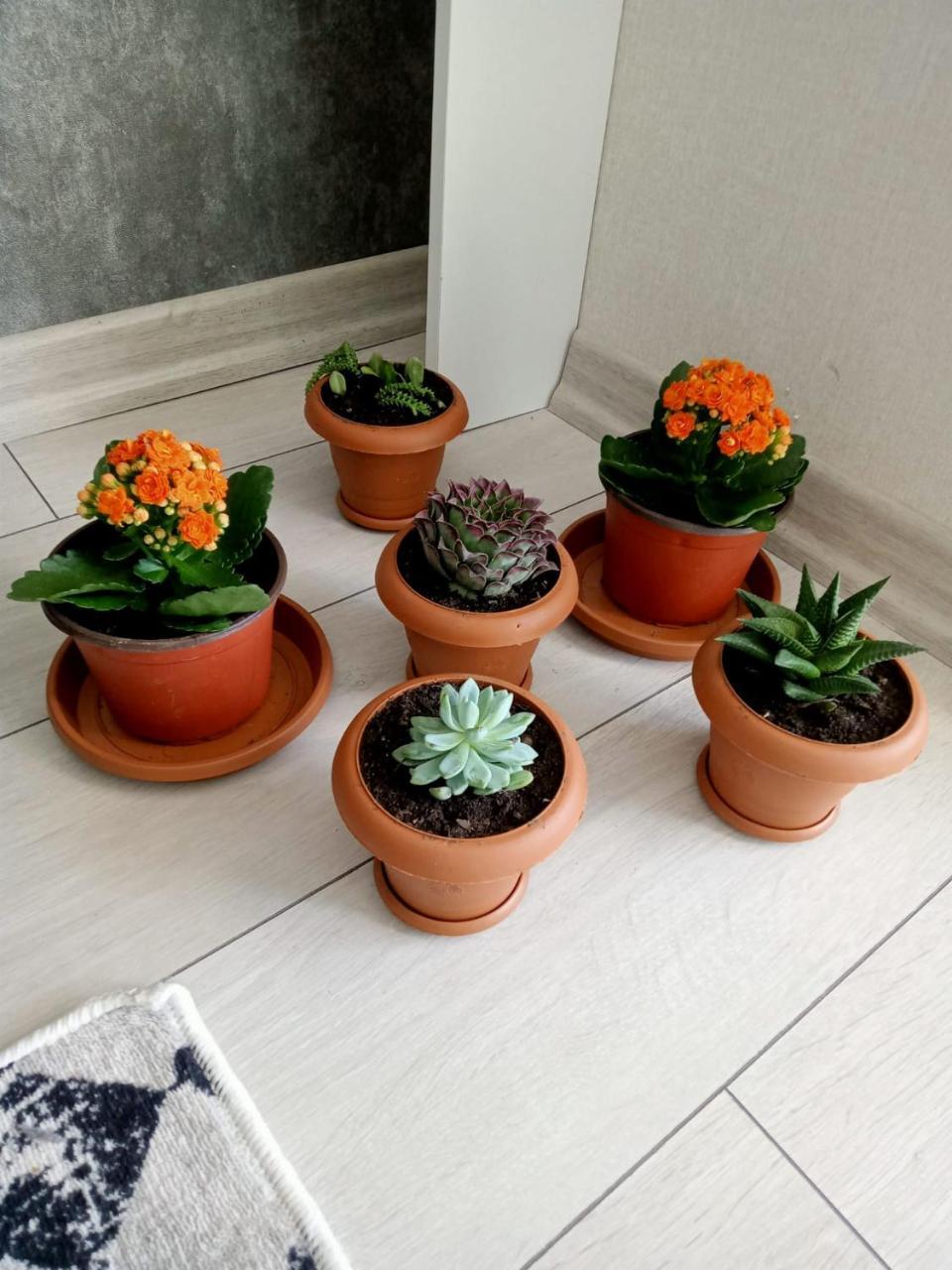 Ankara Esenboga Airport Luxury Rezidance 1