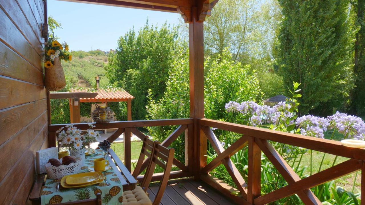 Casa Margarida, Quinta Carmo - Alcobaca - Nazare 2