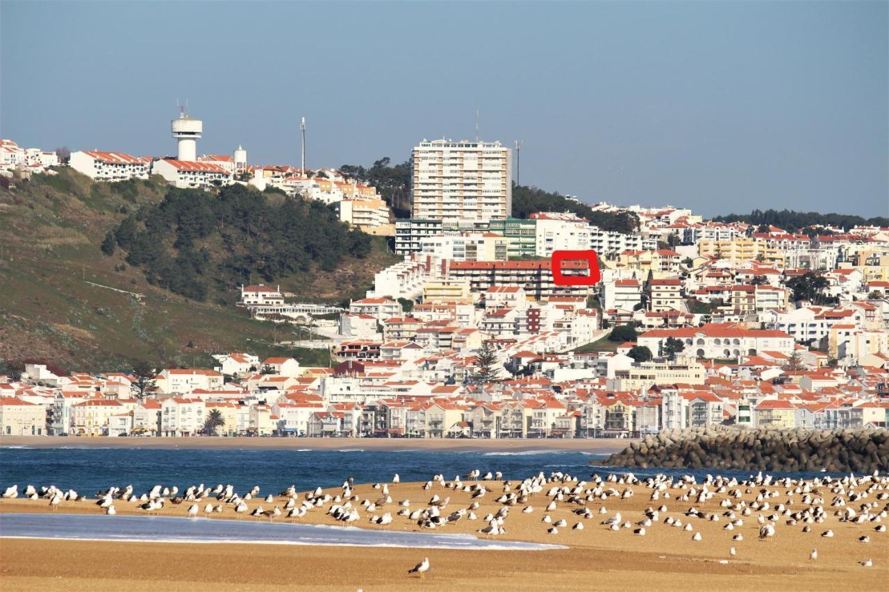 Nazare Surf Apartment 1