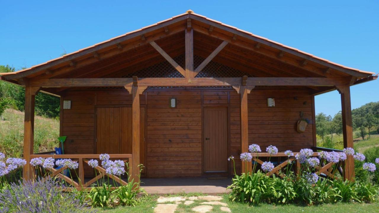 Casa Alfazema, Quinta Carmo - Alcobaca - Nazare 1