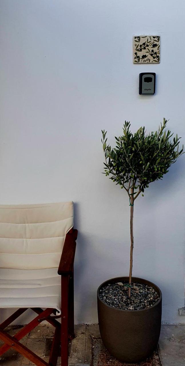 The Olive Tree Villa Lindos 1