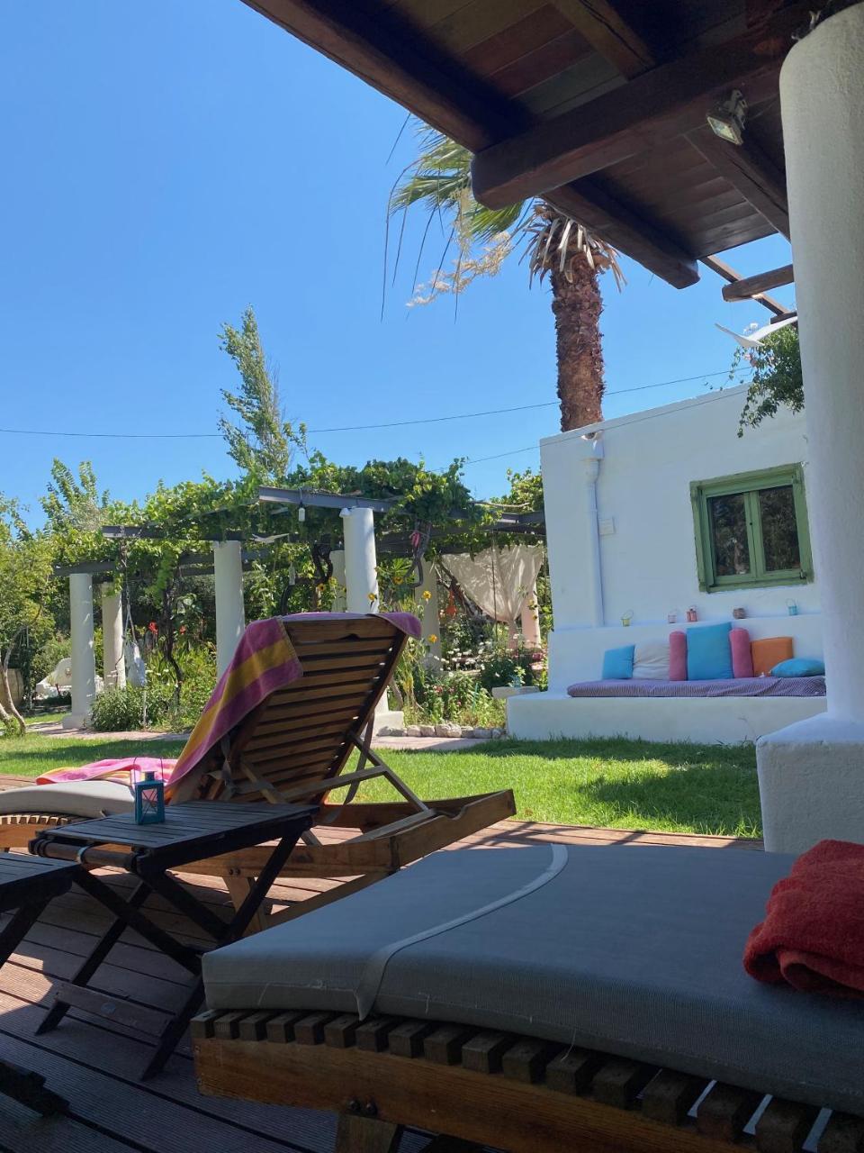 Oliveyard Stone Built House- with Pool Non Chlorin